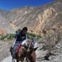 Pérou - Trel Canyon del Colca