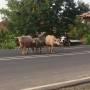Laos - 