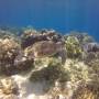 Philippines - 