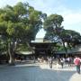 Japon - 