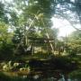 Japon - 