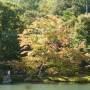 Japon - 