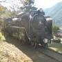 Japon - 