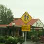 Australie - attention aux bébètes...