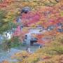 Japon - 