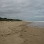 Australie - plage sans fin, vue nord