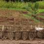 Laos - Casiers de pêcheur