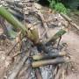 Laos - 