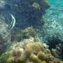Thaïlande - 
