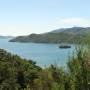 Nouvelle-Zélande - Petit tour dans les Marlbourough Sounds