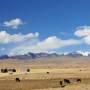 Bolivie - Au Bord du Lac Titicaca - Isla del Sol