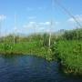 Birmanie - floatting garden