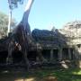 Cambodge - 