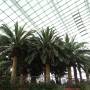 Singapour - 