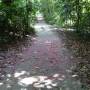 Singapour - 