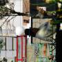 Bolivie - 