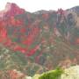 Bolivie - 