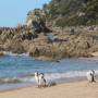 Nouvelle-Zélande - Abel Tasman