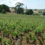 France - Chassagnes Montrachet