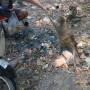 Cambodge - 