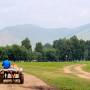 Mongolie - Ne pas mettre la charrue avant les boeufs!