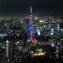 Japon - Vue de Tokyo depuis la tour Mori