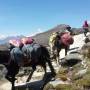 Pérou - HUARAZ