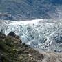 Nouvelle-Zélande - Glacier Fox