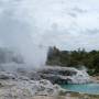 Nouvelle-Zélande - Geyser