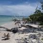 Cuba - Cayo Jutias