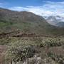 Pérou - Cañon del Colca