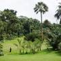 Singapour - 