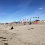 USA - oceanside,californie,janvier 2018