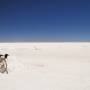 Bolivie - Sur le Salar