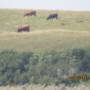 Canada - IMG_1227