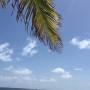 France - IMG_0613