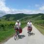 Autriche - Promenade dans le vignoble de WACHAU