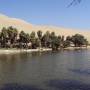 Pérou - Oasis de Huacachina