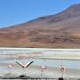 Bolivie - Sud Lipiez