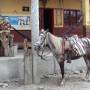 Équateur - Les aventures de Jolly Jumper en Equateur