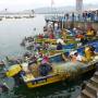 Chili - Port de peche de Coquimbo