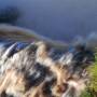 Argentine - Iguazu