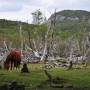 Argentine - Ushuaia