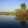 Australie - Yellow Water