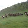 Mongolie - Vallee de l Orkhon