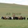 Mongolie - Region des 8 lacs