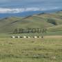 Mongolie - Vallee de l Orkhon