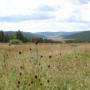 Mongolie - Plein les yeux
