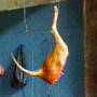 Chine - 