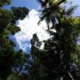 Australie - 